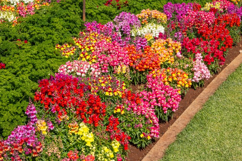 Decorative Plant Bed Border