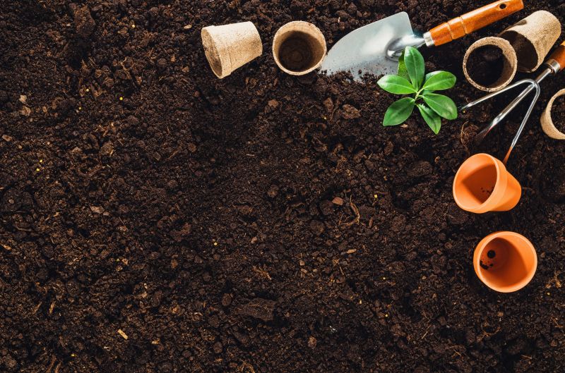 Tools You Actually Need